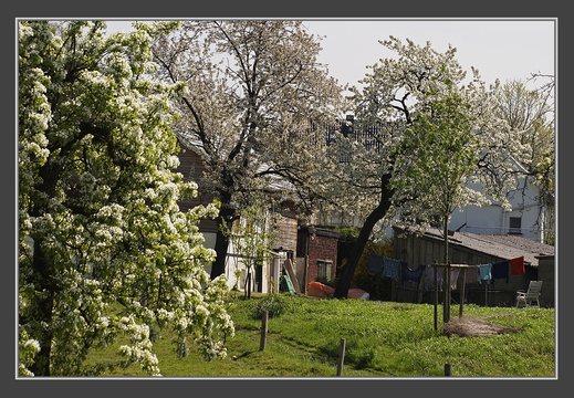 Solingen