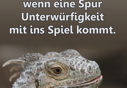 Aufsteller